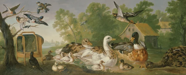 Immagine sconosciuta